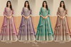 Aanaya Vol 243 By Dani Faux Georgette Gown With Dupatta Suppliers In India